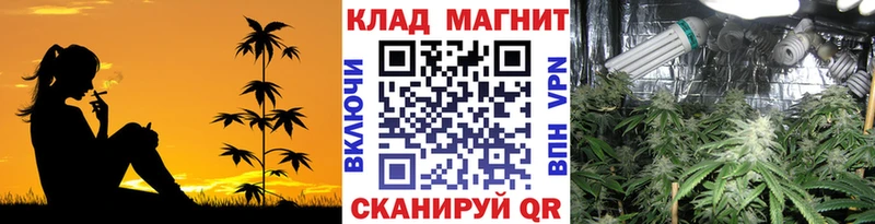Названия наркотиков Дмитриев Конопля  Мефедрон  APVP  ГАШ  Cocaine 