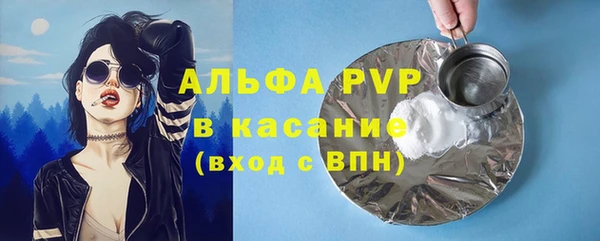 PSILOCYBIN Магас