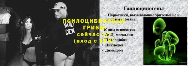 прущие крисы Майский