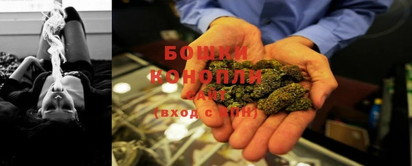 PSILOCYBIN Магас