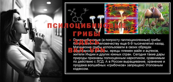 PSILOCYBIN Магас