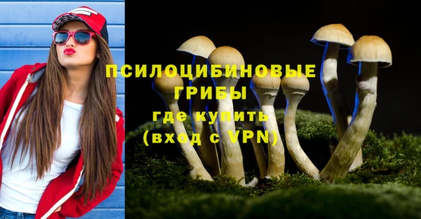 ГАЛЛЮЦИНОГЕННЫЕ ГРИБЫ Магадан