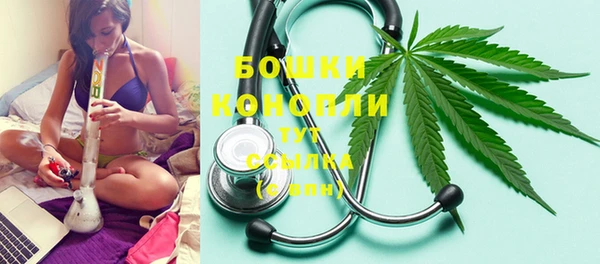 PSILOCYBIN Магас