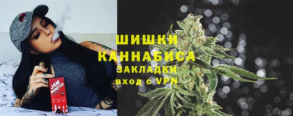 PSILOCYBIN Магас