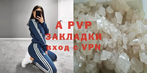 PSILOCYBIN Магас