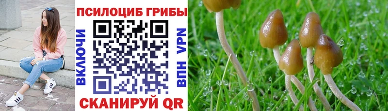 Галлюциногенные грибы мицелий  blacksprut tor  Дмитриев 